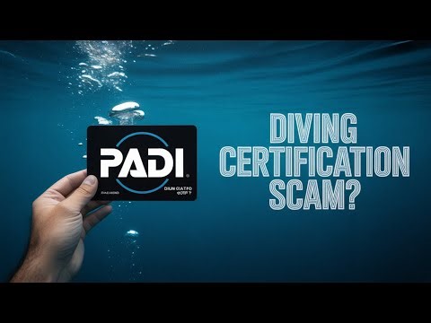 PADI's Latest SCAM!!! #Scuba #ScubaDiving #PADI