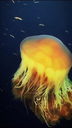 Beauty of the Ocean Scenery