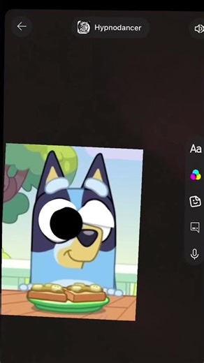 Bluey and bingo switch fur ￼🩵🧡