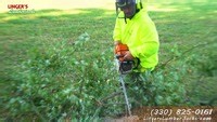 For over 30 years and BBB accredited for 25 years, Linger's Lumberjacks has been Northeast Ohio's trusted tree removal and trimming experts. Our fully insured crews handle everything from routine trimming to complete tree removal with professional care and excellent cleanup. | Linger's Lumberjacks