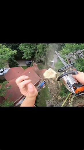 Dropping wood at 100+ ft!#work #tree #gopro #arborist #chainsaw #height #cool #treeclimbing #skills