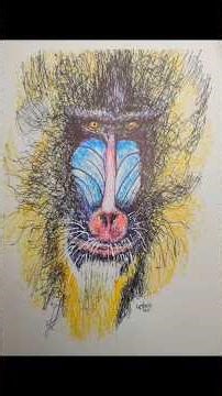 Mandrill in Ink #drawing #art #monkey