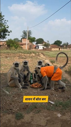 The state of a drinker during Sawan #funny #thetharpuns #shilpisaroja #comedy