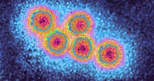 Hepatitis A outbreak at Provincetown restaurant leaving some visitors on edge