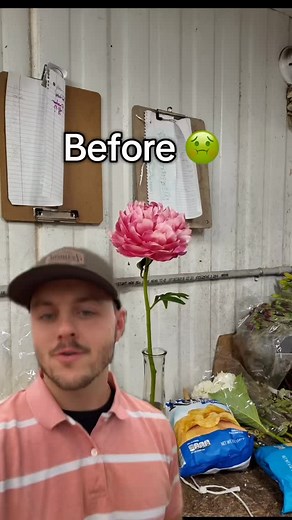 #floristsofinstagram #flower #flowers #tampaeventplanner #eventplanner #tampaevents #flowerpower #floral #lakelandflorist #lakelandwedding #flowerphotography #clearwaterflorist #clearwaterwedding #florists #flowerstagram #tampawedding #tampaweddings #tampaflorist #florist #stpetewedding #stpetebride #tampaflowers #weddingplanner #tampaweddingplanner #lakelandweddingplanner #tampaevents #stpeteevents #floridawedding #flora | PetalPro | Facebook