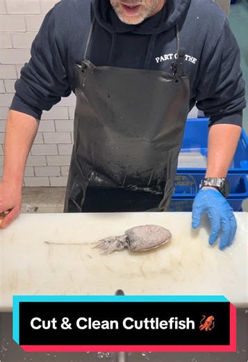Watch & learn how we cut & clean a Cuttlefish for a customer to take home! 🦑 #fishinthefamily #seafood #harrisfarmmarkets #fishcutting #cuttlefish #cuttlefishcutting #fyp