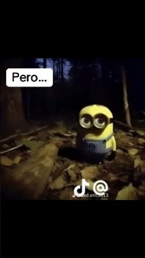 20 de noviembre de 2025