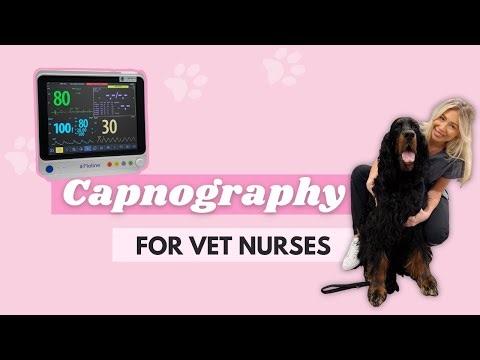 Capnography for Vet Nurses 🐾👩🏼‍⚕️🩺 Vet Nurse School