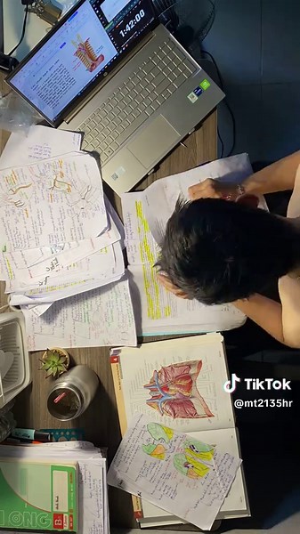 Study Motivation Tips for Daily Improvement