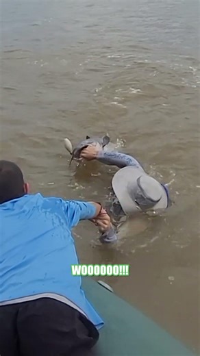 River Fishing Tips & Tricks: No Net = No Problem: Jack Lands TROPHY Blue Catfish: FATKAT Best Rigs