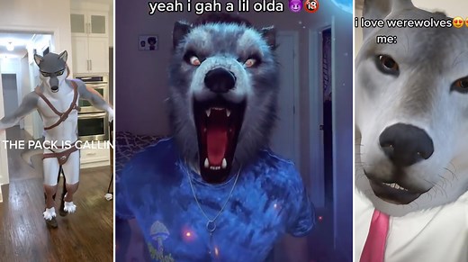 Alpha Werewolf Transformation (TikTok Filter) | Know Your Meme