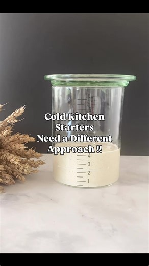 Winter Sourdough Starter Tips for Perfect Bread