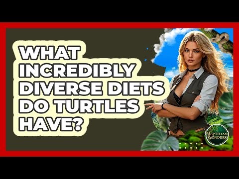 What Incredibly Diverse Diets Do Turtles Have? - Reptilian Wonders