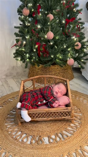 Nothing sweeter❤️🎄 | Brandi L. Connor Photography