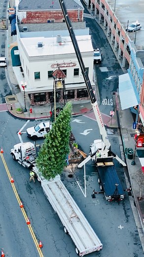 🎄✨ It’s beginning to look a lot like Christmas in Placerville! ✨🎄 Our Christmas Tree officially arrived and was installed Saturday at the Bell Tower— and we couldn’t wait to share the excitement with you! 🌟 Check out this sneak-peek video of the tree going up in the heart of our historic town. 🎥❄ Stay tuned for updates as we get ready to light up the season together. The magic is just getting started! ✨🎅🎁 Special thanks to Sierra Pacific Industries, Doug Veerkamp General Engineering, Inc.,