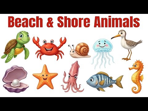 10 Amazing Beach & Shore Animals 🐚🦀 | Incredible Ocean Creatures #marinelife #BeachAnimals