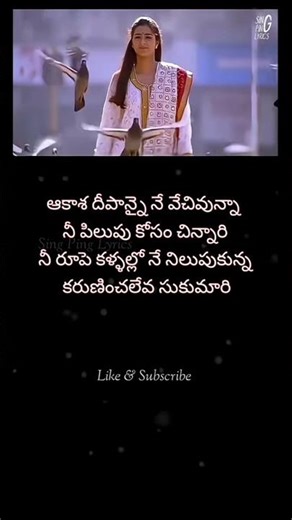 🌹🌹❤️‍🩹❤️‍🩹🌹🌹