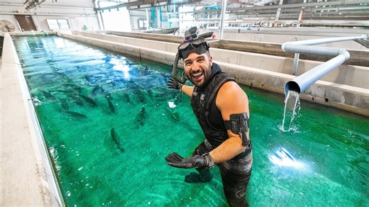 Record-breaking bass and big fish experiments