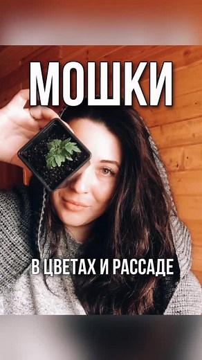 Избавляемся от мошек #грибнойкомарик #рассада2021