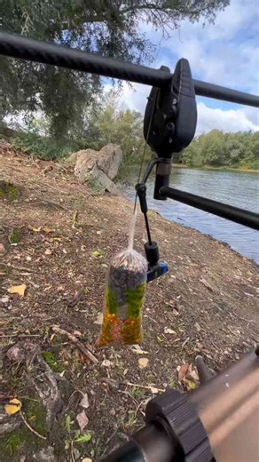 Carp rig montage setup that every angler needs