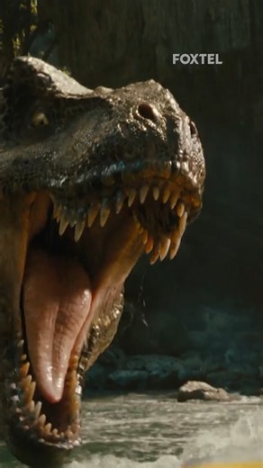 Foxtel on Instagram: "T-Rex's are cool, until you become their snack 🦖 #JurassicWorldRebirth #TRex #WhatToWatch"