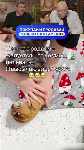 Кот: дорогой дневник ✍️