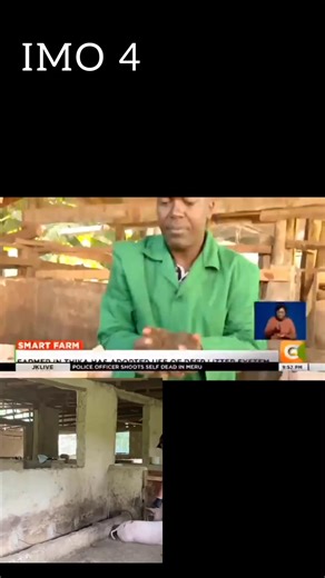 51K views · 699 reactions | Zero smell pig farming(IMO method) series 4 #learning #pigcare #pigs | Nicefarm Agro | Facebook