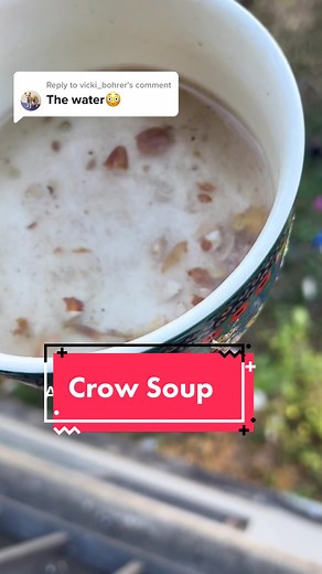 Delicious Crow Soup Recipe - Try This Unique Dish Today!