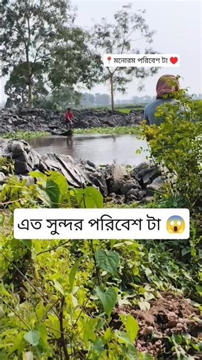 Beautiful River Bathing Scene 🌊 | Boys Enjoying Swimming in Nature | Village Life #shorts #tapiriver