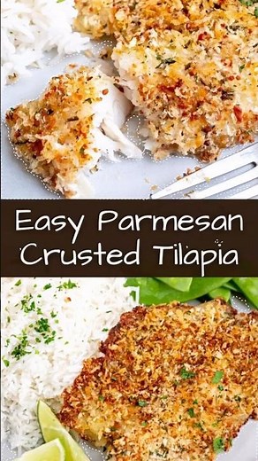 Crispy Parmesan Crusted Tilapia Easy Weeknight Dinner Idea