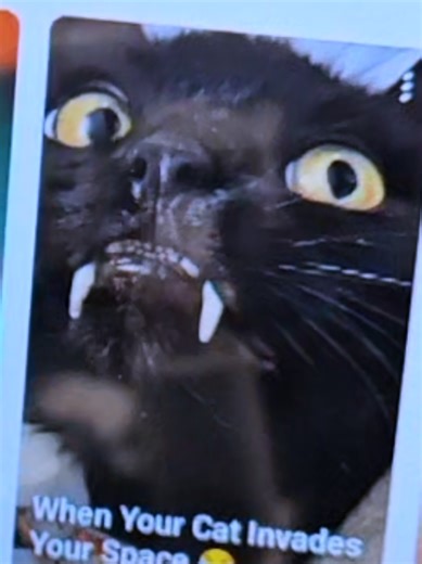 Unexpected Surprises with Tablet Shopping