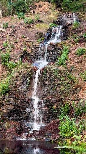 A beautiful place to stay • Surrey Hills on Instagram: "It’s time for the last group walk of 2025 and I can’t wait to go out this Sunday 28th December💚 Just look at what we have to look forward to…plus a coffee stop at the most wonderful woodland cafe @brewbird_box The walk will be around 5 miles and will take us around Westcott, Wotton and Friday Street and via the amazing Tillingbourne waterfall! These walks are completely free and we have plenty of laughs with a lovely mix of regulars and ne