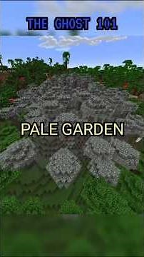 The Real Rarest Biome in Minecraft ...