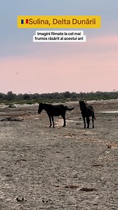 Superb! Îmi e dor🩷 | Delta Experience România