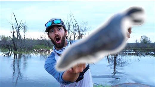 Swamp expedition yields multiple gar species and a rare snakehead
