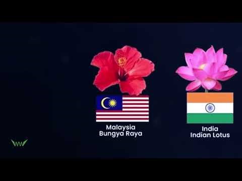 The National Flower Of Asian Countries