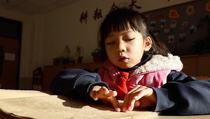 134K views · 1.5K reactions | "Before my vision loss, I was competing with others. After that, I was competing with myself." Yang Jia, the first visually impaired person from outside US to obtain Harvard MPA degree, is a professor and a 12-year member of China's top political advisory body. She has made proposals advocating for equal rights for the disabled. | China Plus Culture | Facebook