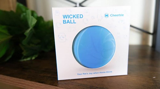 Unbiased Cheerble Wicked Ball Review - Cats.com