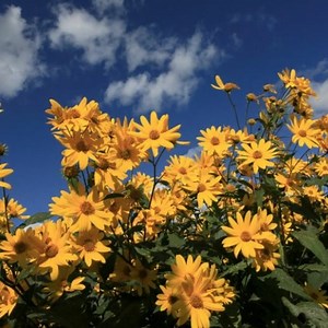 Amazon Prime Review music for video background free 💙FREE DOWNLOAD