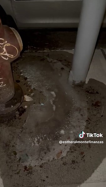 Cuidado Bronx: Protege a Tu Familia en el Hielo