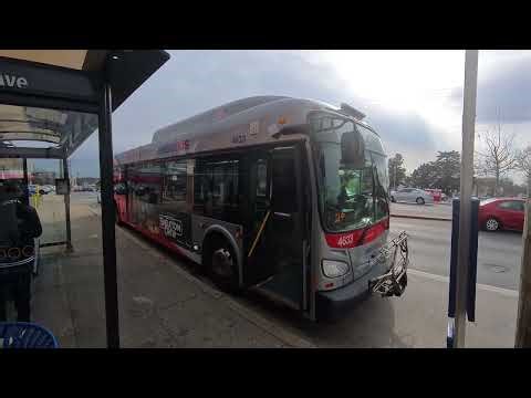 WMATA Metrobus Route C4 Ride: 2022 New Flyer Xcelsior XD40 #4633 in Action!