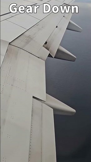 B737 Landing in 17kt Crosswind with Flaps 40 | Boeing 737 Flap Deployment