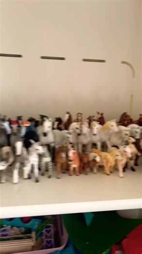 Schleich organizing part 1