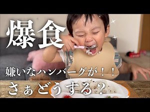 【見事な食べっぷり】ご飯粒一粒も残さない！二歳0ヶ月の朝ご飯に密着❗️❗️