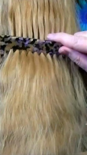 🌻Combing a long wavy ponytail