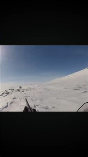 Fantastic epic shoot hunting fox #foxhunting #reels