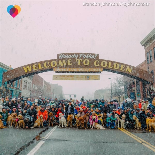Thousands of golden retrievers braved the snow in Golden, Colorado for their annual meetup ❤️ | The Uplift