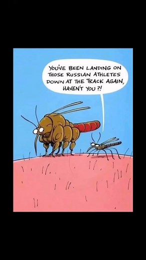 Brian Ellison on Reels