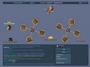 Transformice cheater