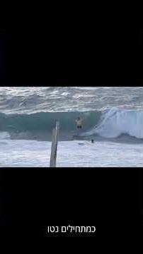 סופט או פיבר לגלישה של מתחילים?